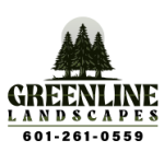 Hardscape Design Trends